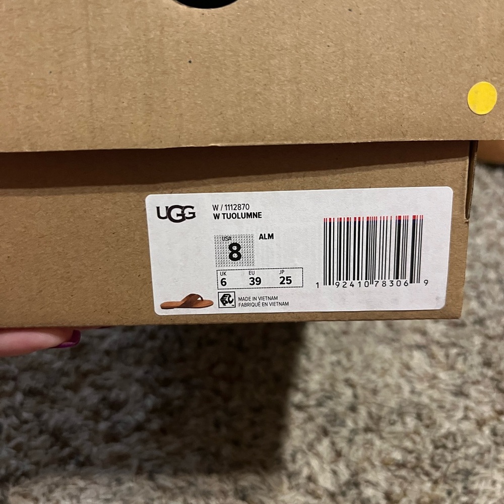 Uggs new in box